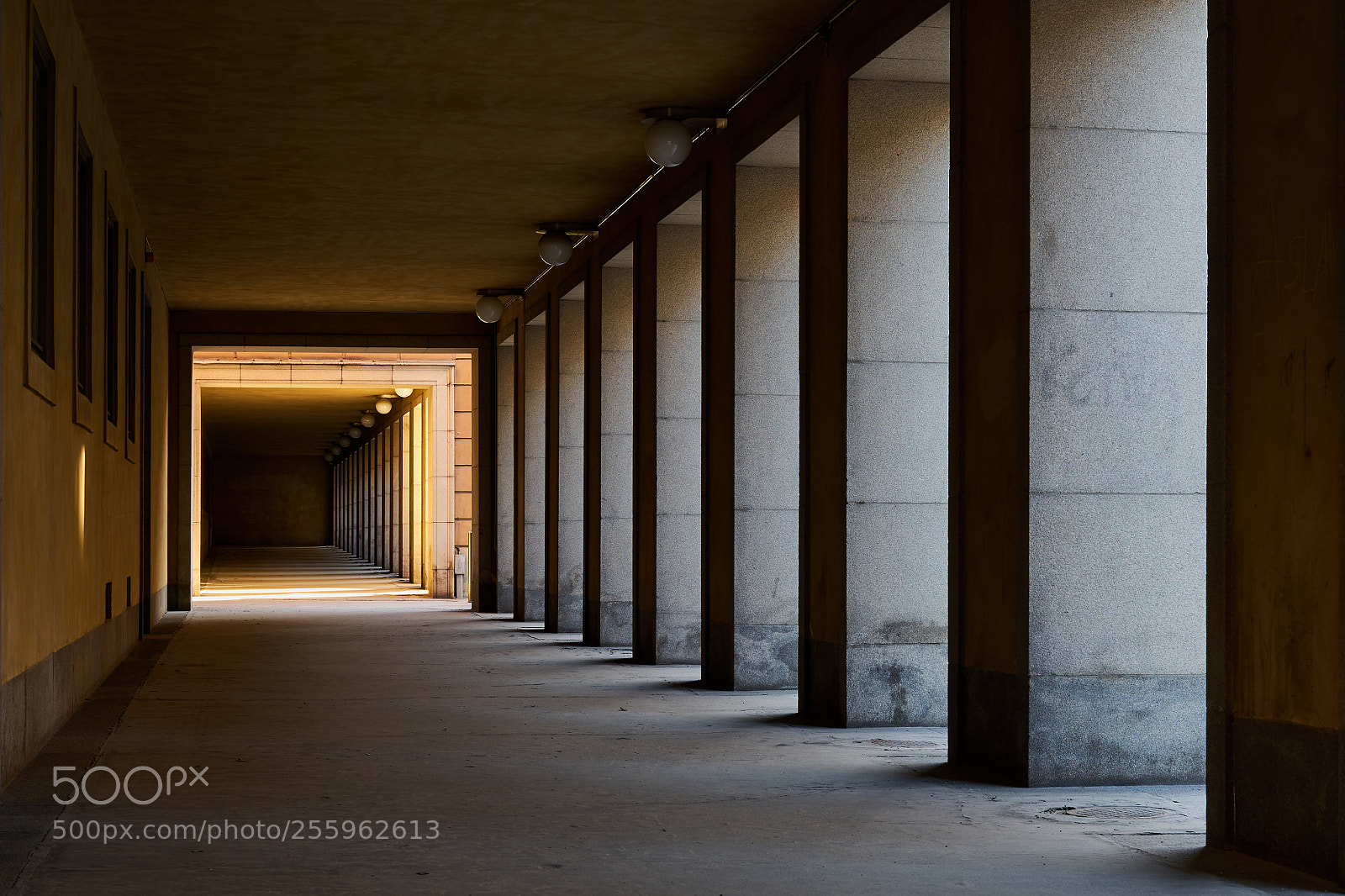 Sony a7 sample photo. Follow the light photography