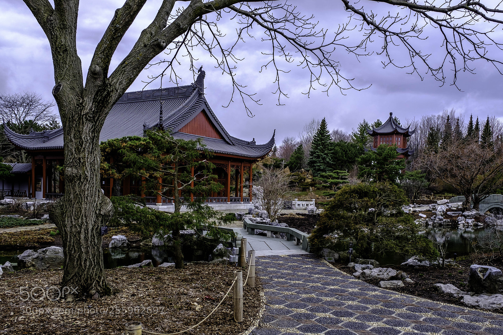 Fujifilm X-T2 sample photo. Dscf photography
