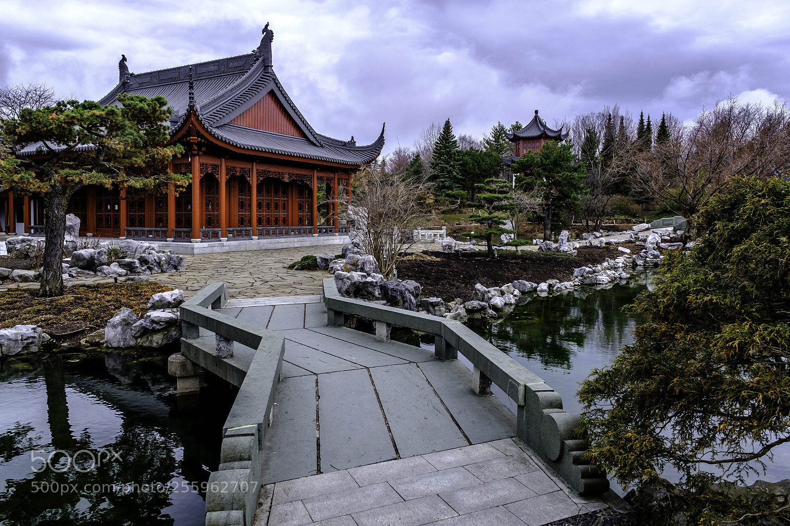 Fujifilm X-T2 sample photo. Dscf photography