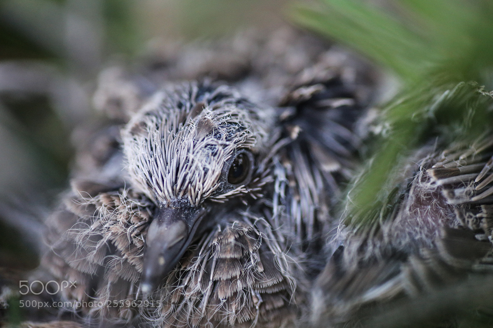 Canon EOS 6D sample photo. Baby photography