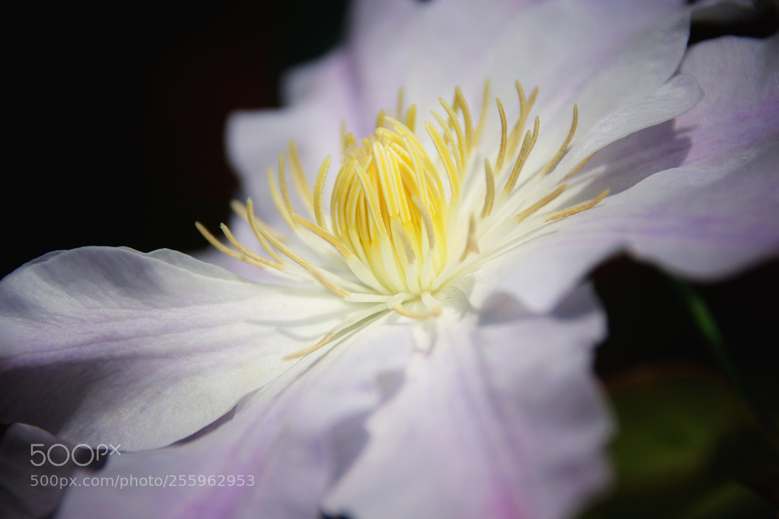 Canon EOS 80D sample photo. Untitled photography