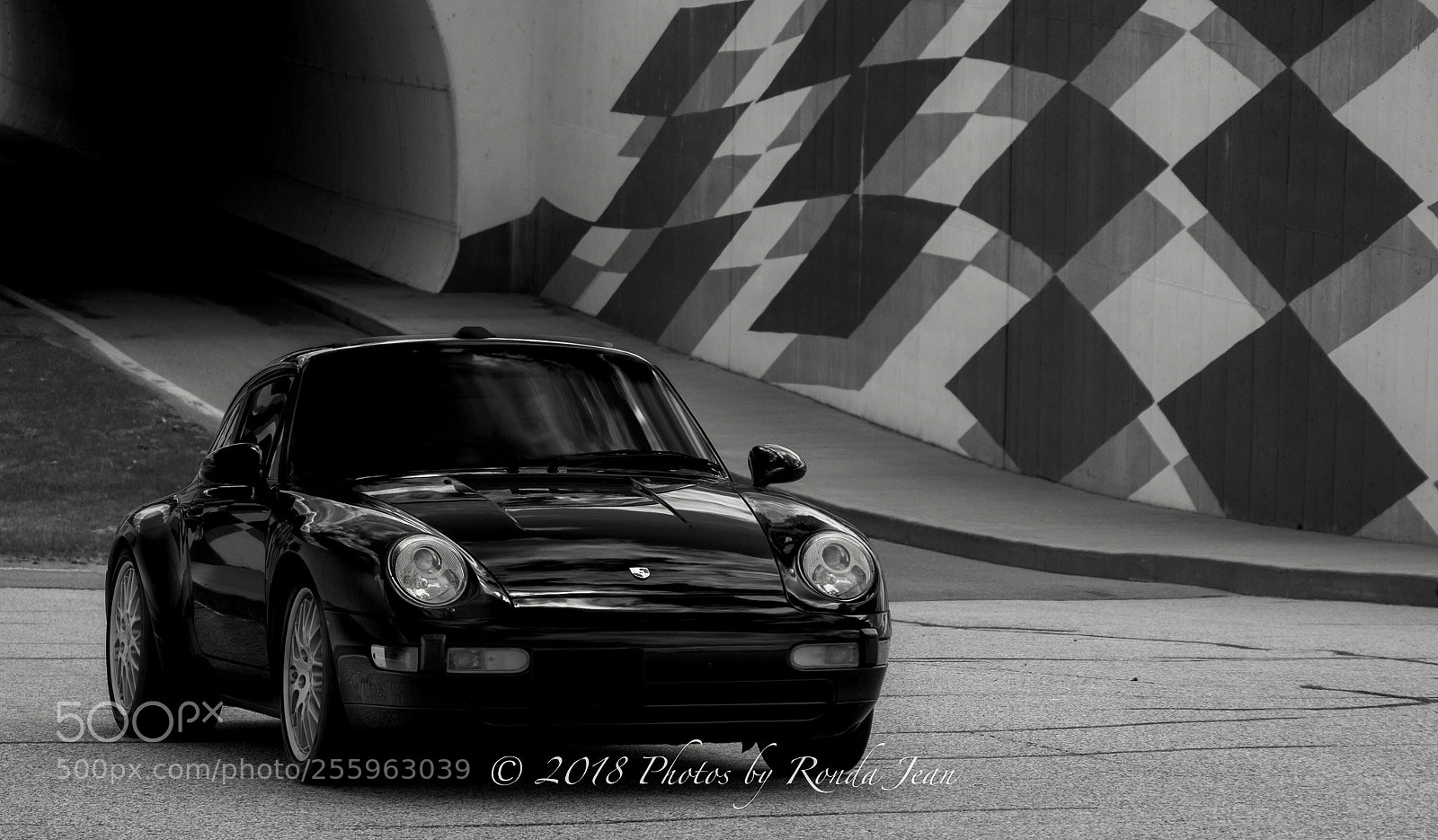 Nikon D500 sample photo. Untitled photography