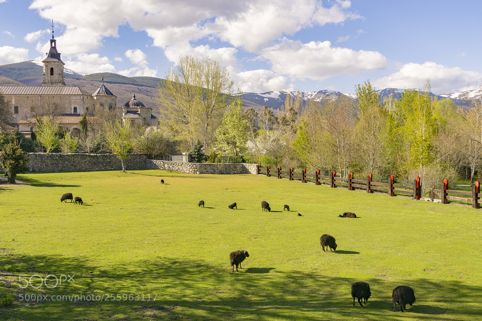 Sony a6000 sample photo. Dsc photography