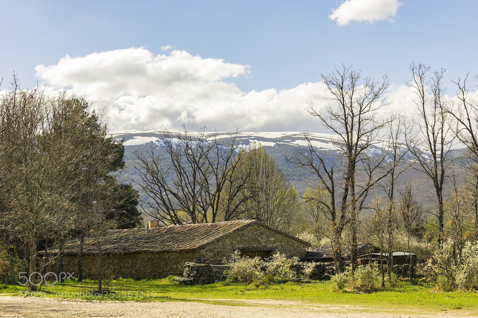 Sony a6000 sample photo. Dsc photography