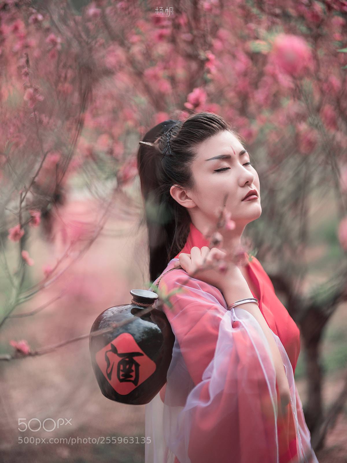 Fujifilm GFX 50S sample photo. 醉。桃花 photography