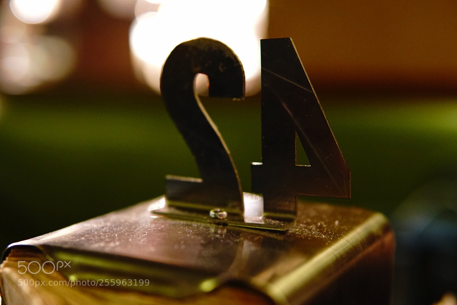 Sony a6000 sample photo. The meaning of life photography