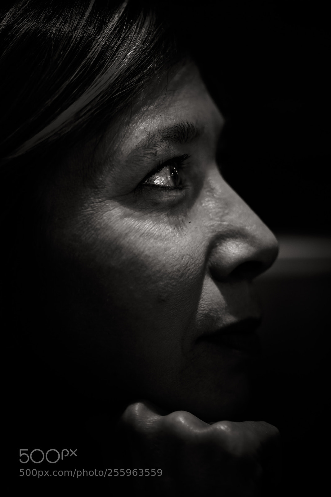 Sony a7R III sample photo. Stay focus! photography