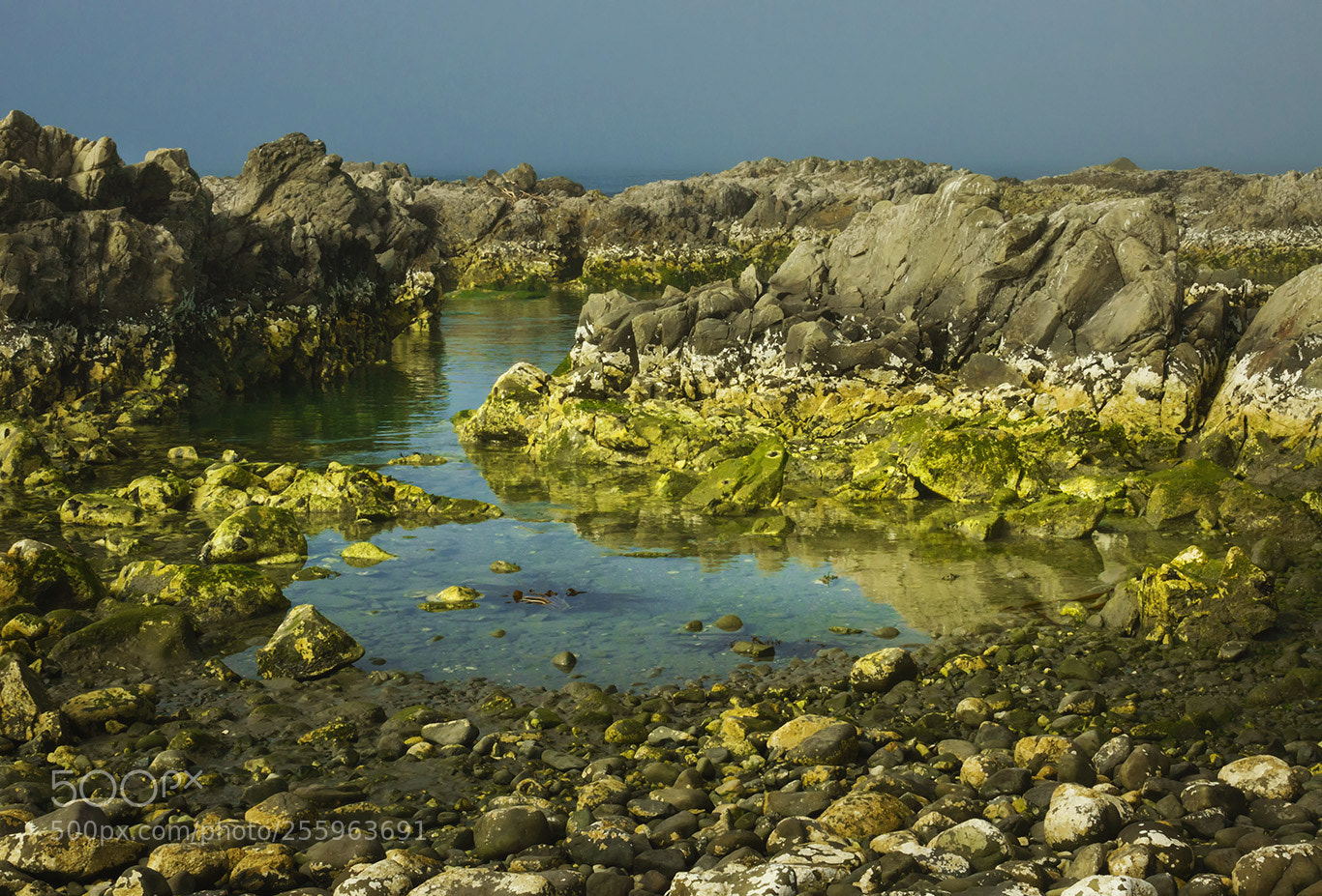 Sony Cyber-shot DSC-RX10 III sample photo. Coast photography