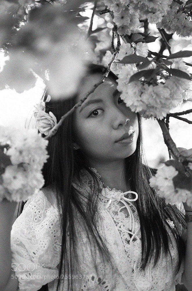 Nikon D7000 sample photo. White bird photography