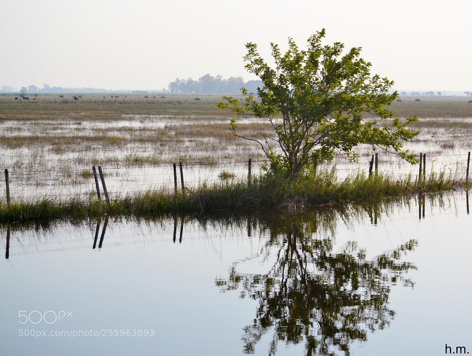 Nikon D3100 sample photo. Fefo photography