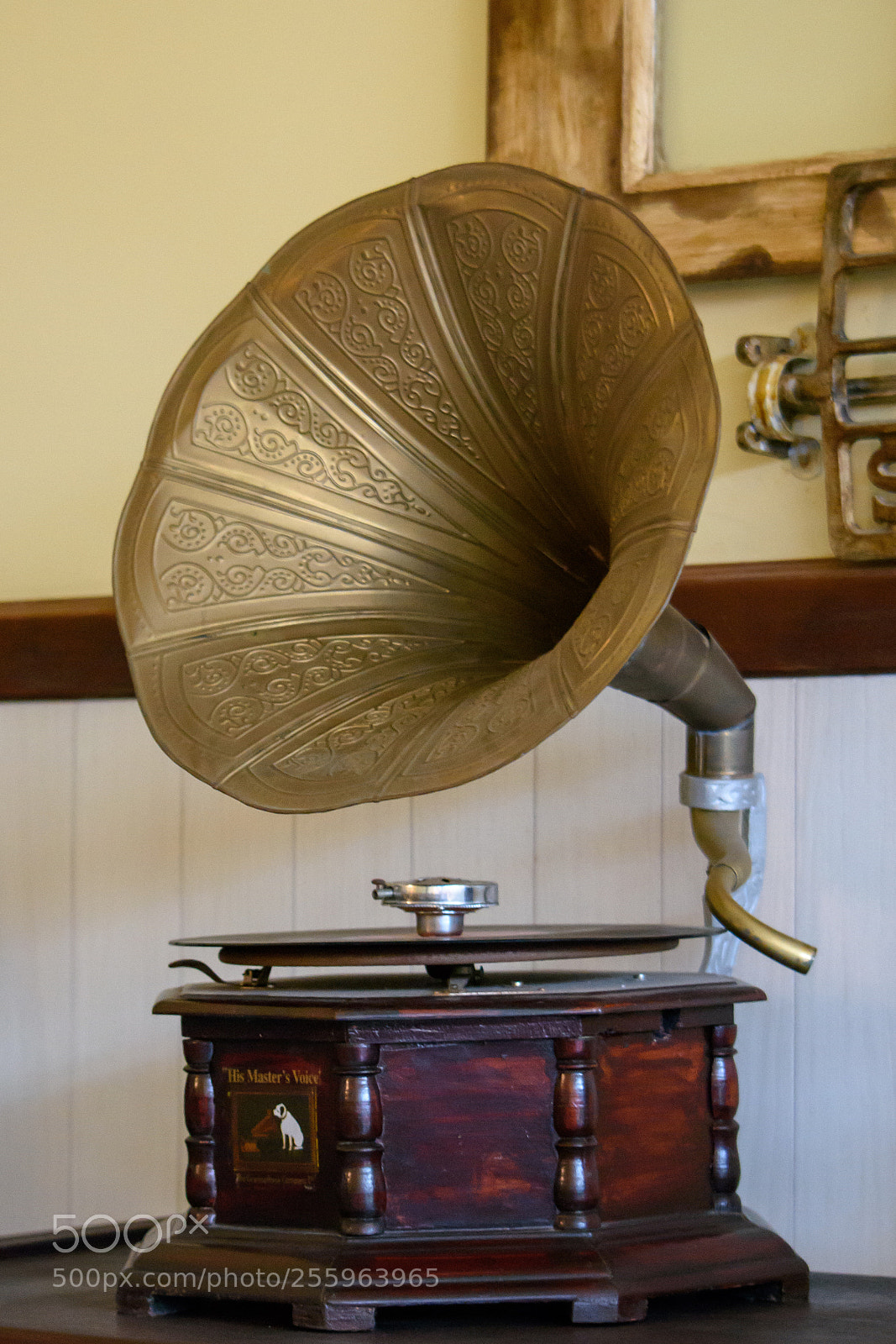 Nikon D7200 sample photo. Gramophone photography