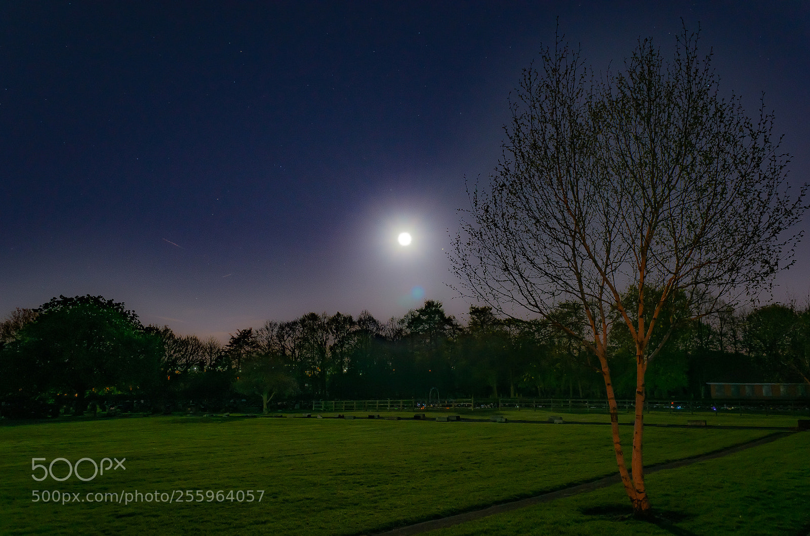 Nikon D5100 sample photo. Moontree photography