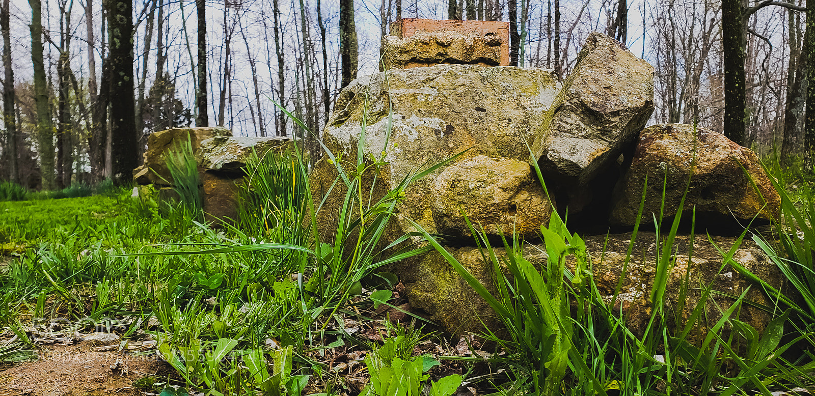 Samsung Galaxy S9+ sample photo. Untitled photography