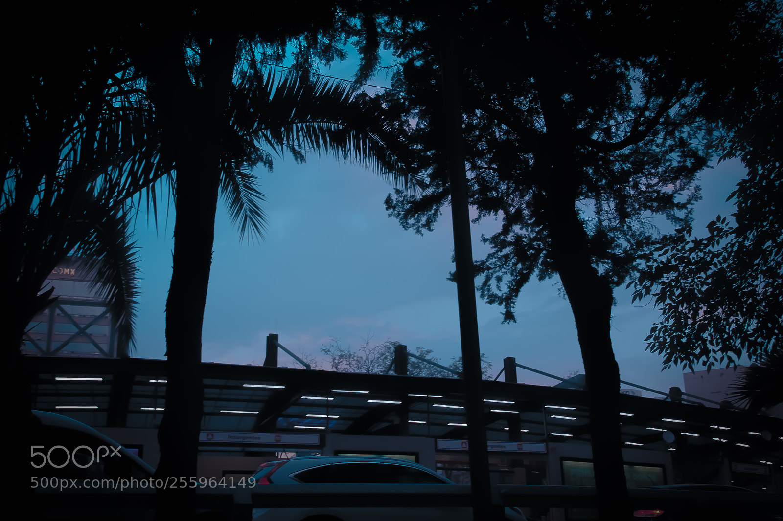 Canon EOS 1300D (EOS Rebel T6 / EOS Kiss X80) sample photo. Lost in the blue photography