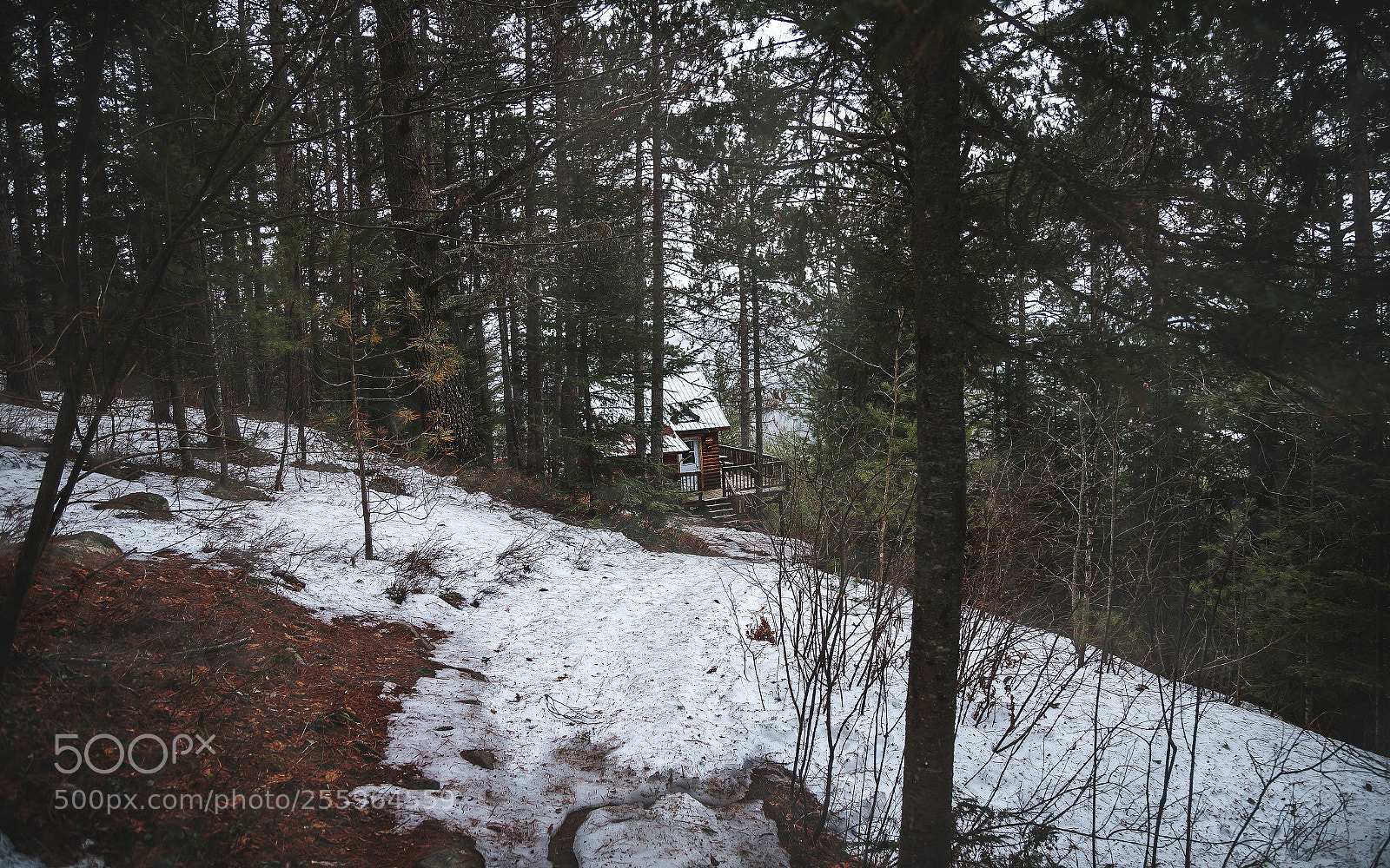 Canon EOS 6D sample photo. 2139 photography