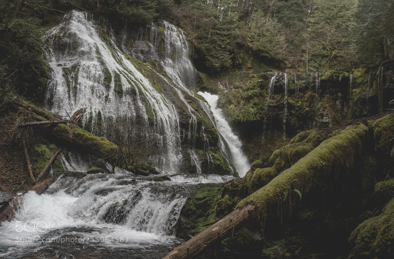 Canon EOS 600D (Rebel EOS T3i / EOS Kiss X5) sample photo. Pnw classic photography