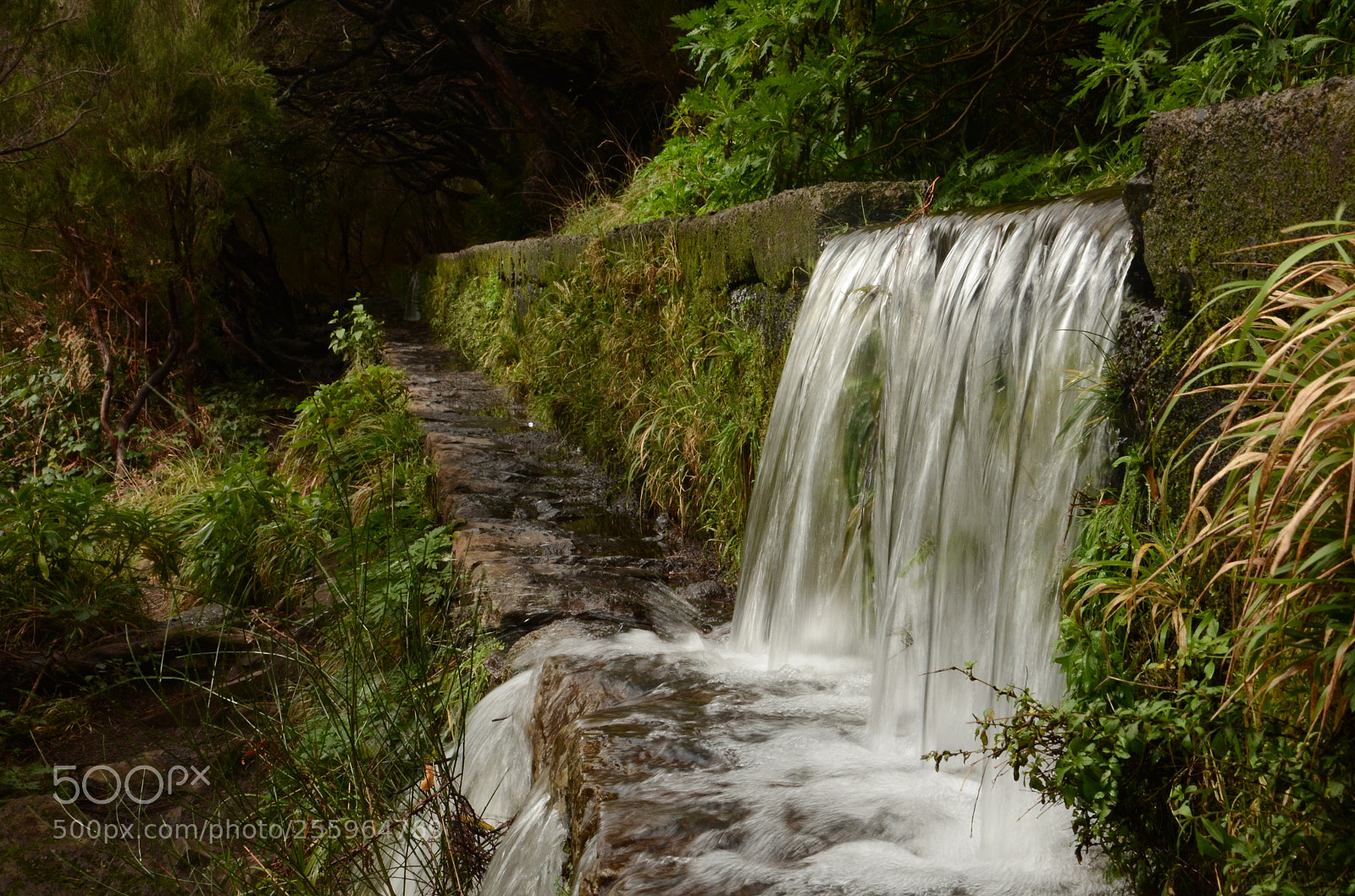 Nikon D7000 sample photo. Water flow photography