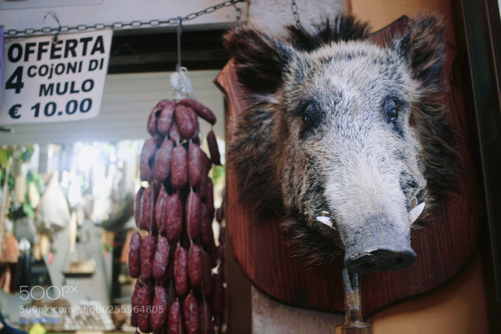 Canon EOS 40D sample photo. Norcini photography