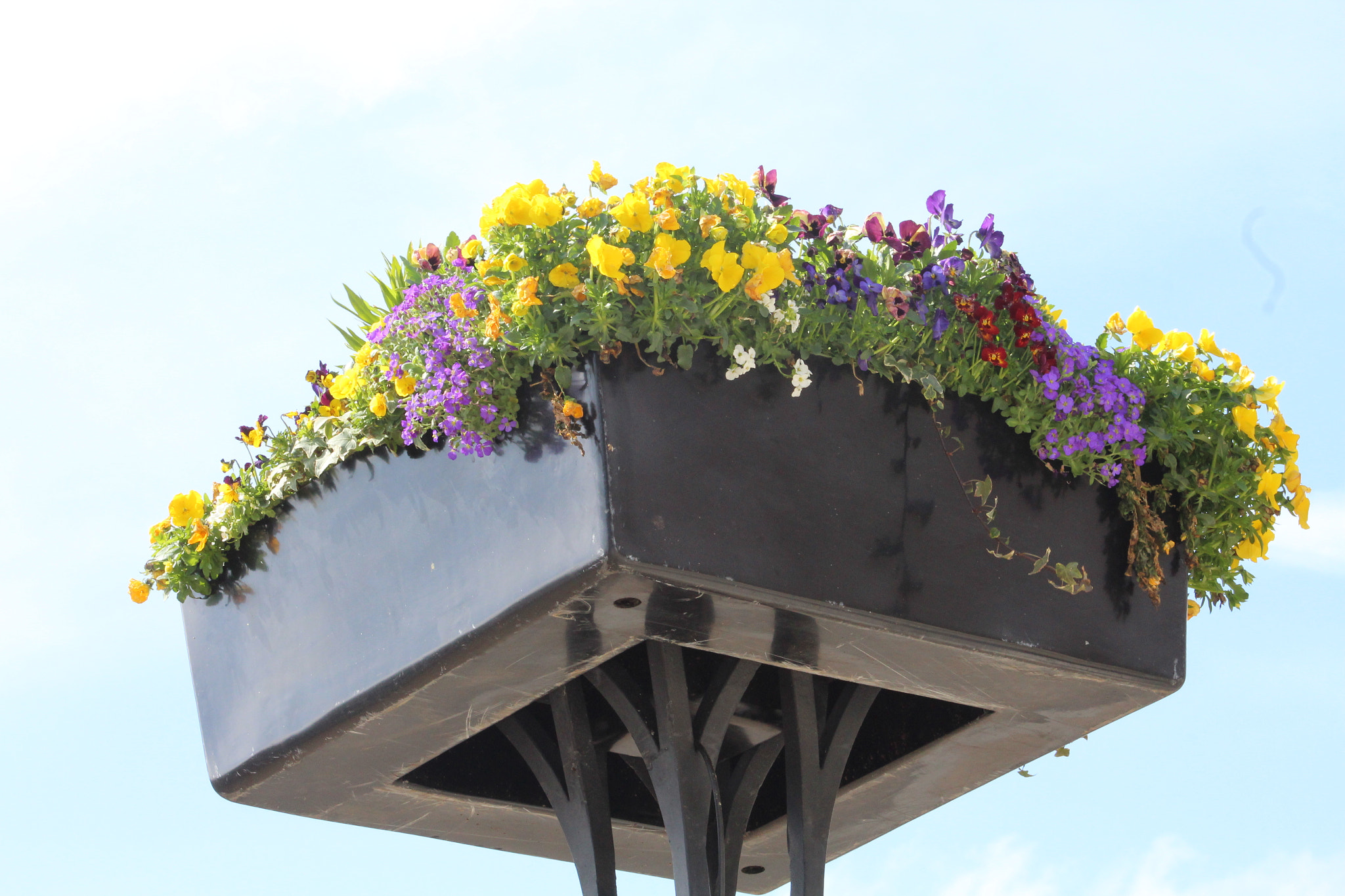 Canon EF 75-300mm f/4-5.6 sample photo. Img photography