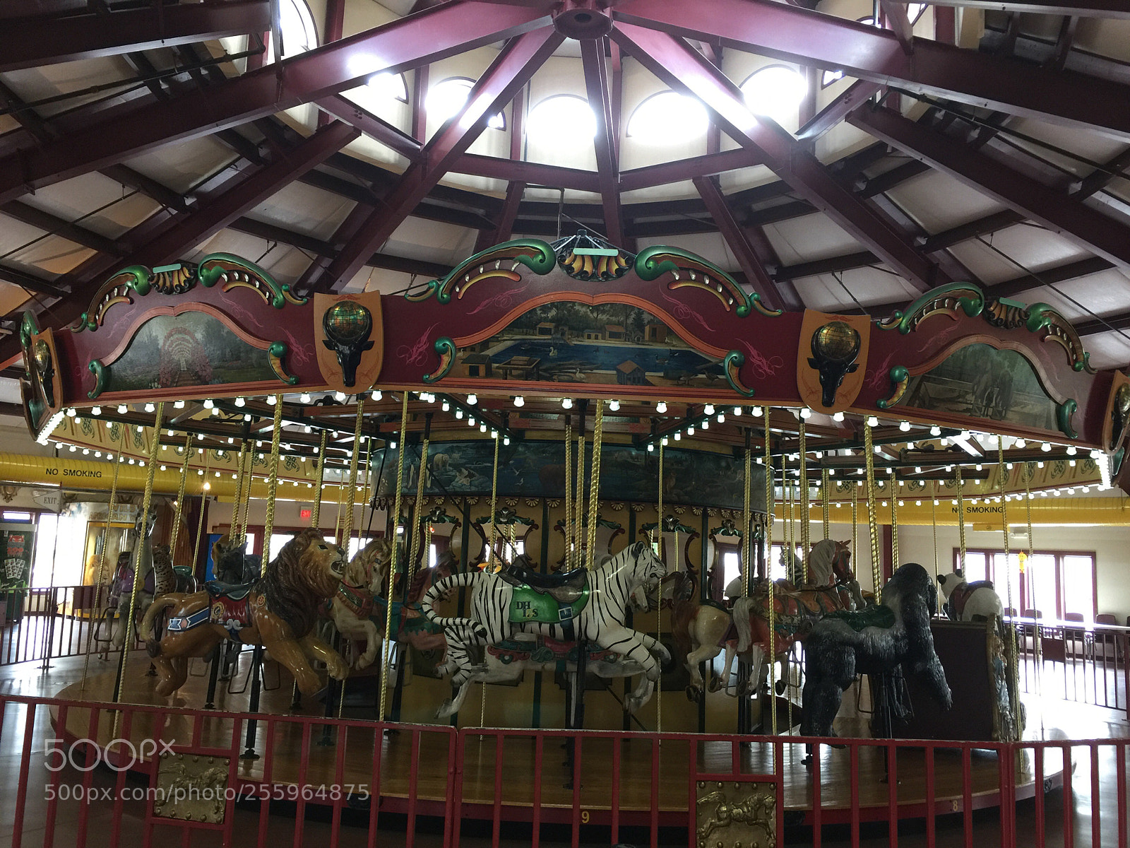 Apple iPhone 6 Plus sample photo. Carousel photography