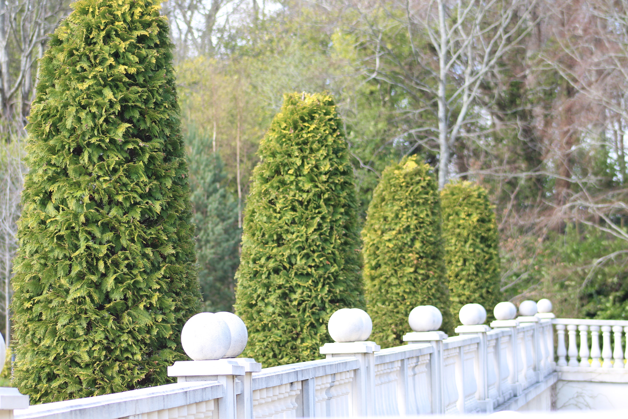 Canon EF 75-300mm f/4-5.6 sample photo. Img photography