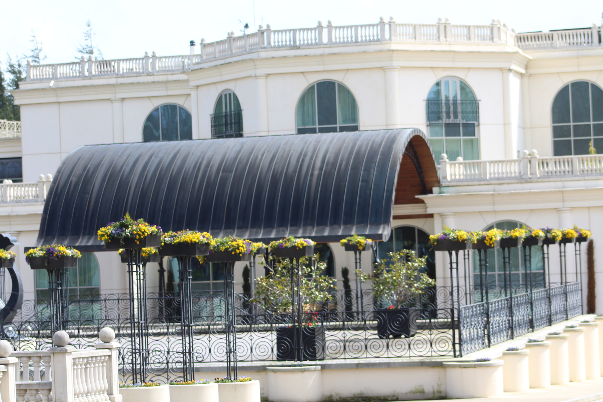 Canon EF 75-300mm f/4-5.6 sample photo. Img photography