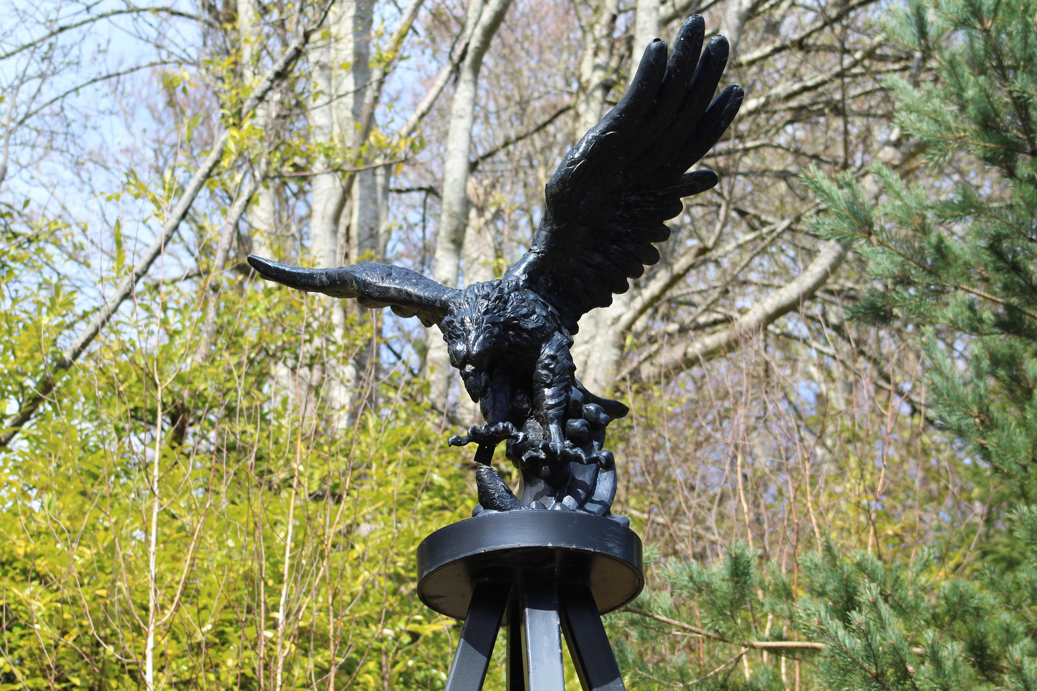 Canon EF 75-300mm f/4-5.6 sample photo. Img photography