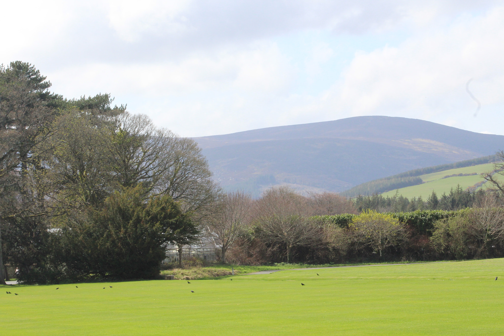 Canon EF 75-300mm f/4-5.6 sample photo. Img photography