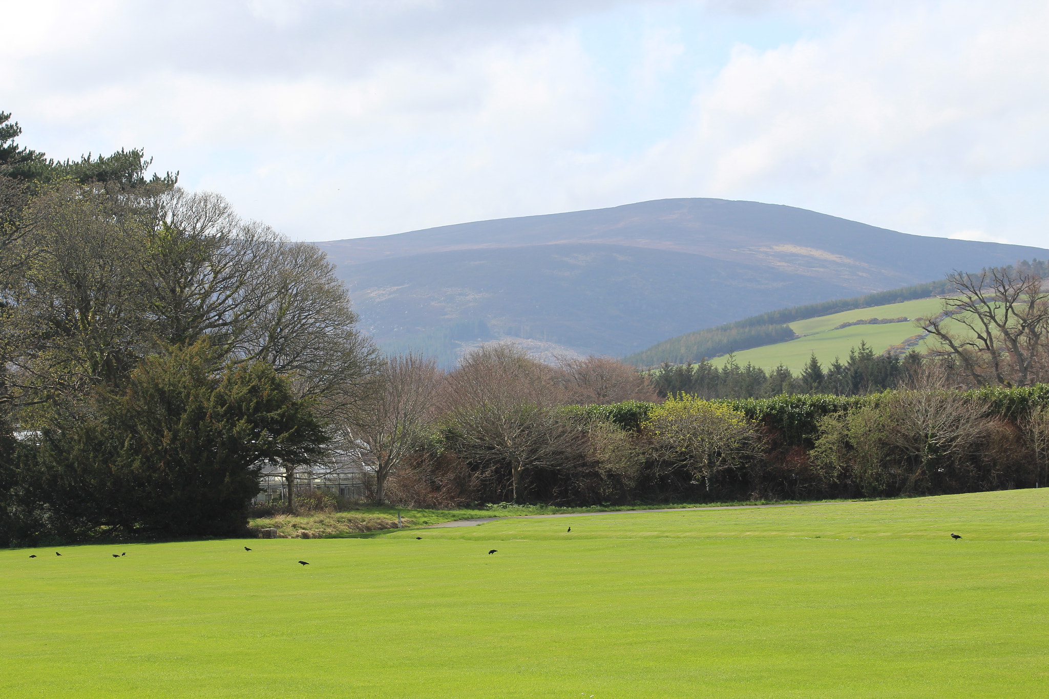 Canon EF 75-300mm f/4-5.6 sample photo. Img photography