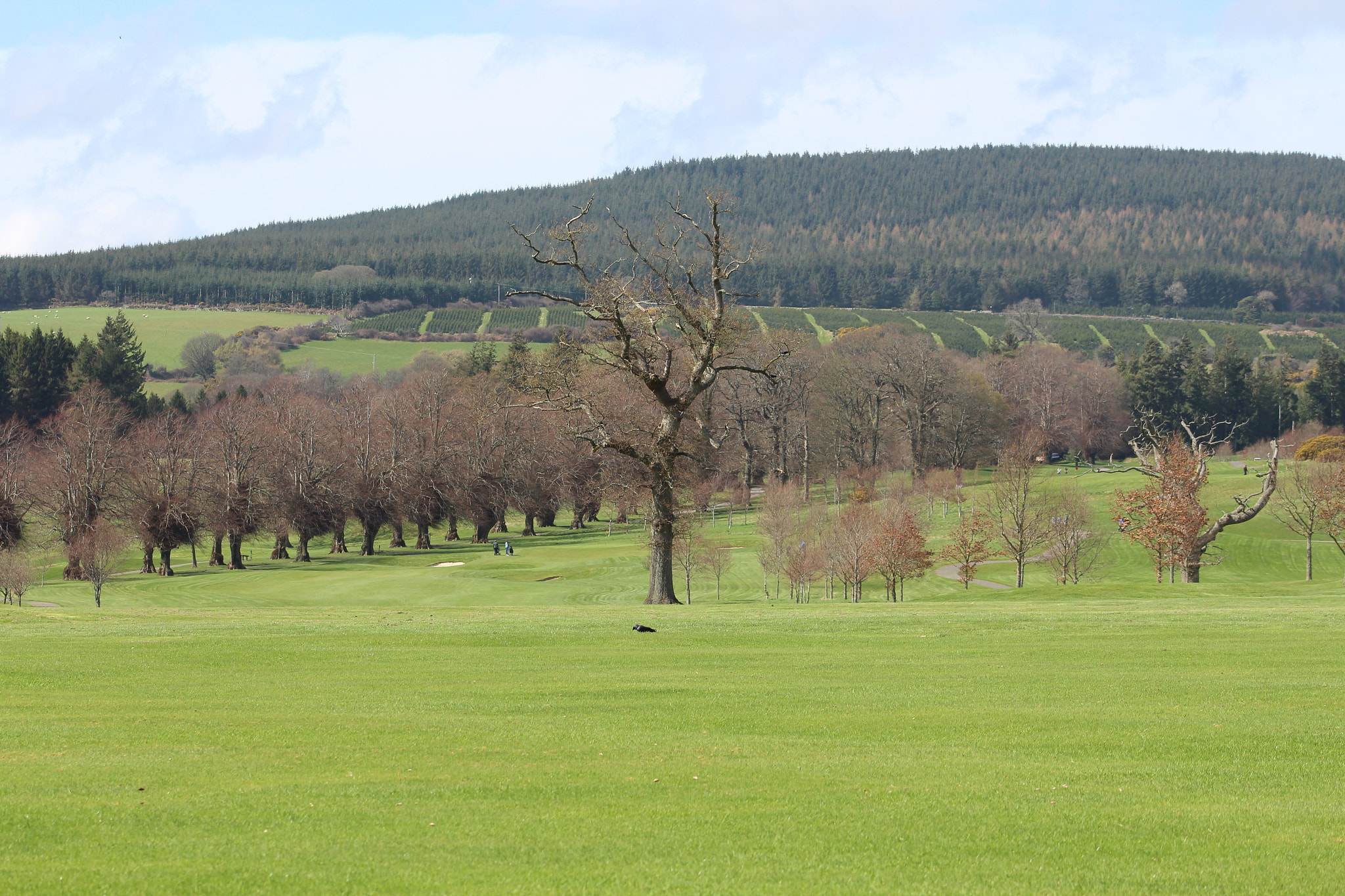 Canon EF 75-300mm f/4-5.6 sample photo. Img photography