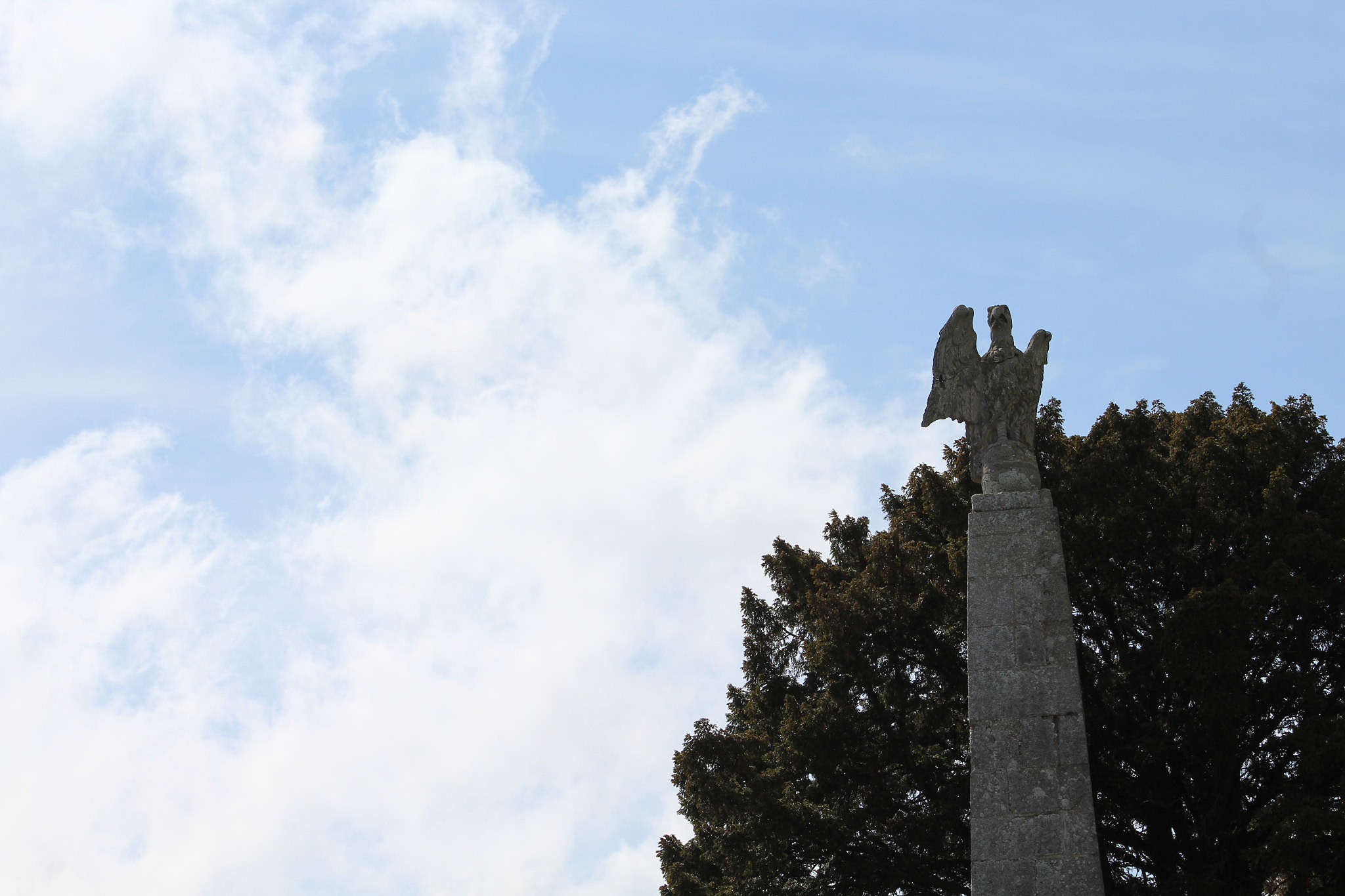 Canon EF 75-300mm f/4-5.6 sample photo. Img photography