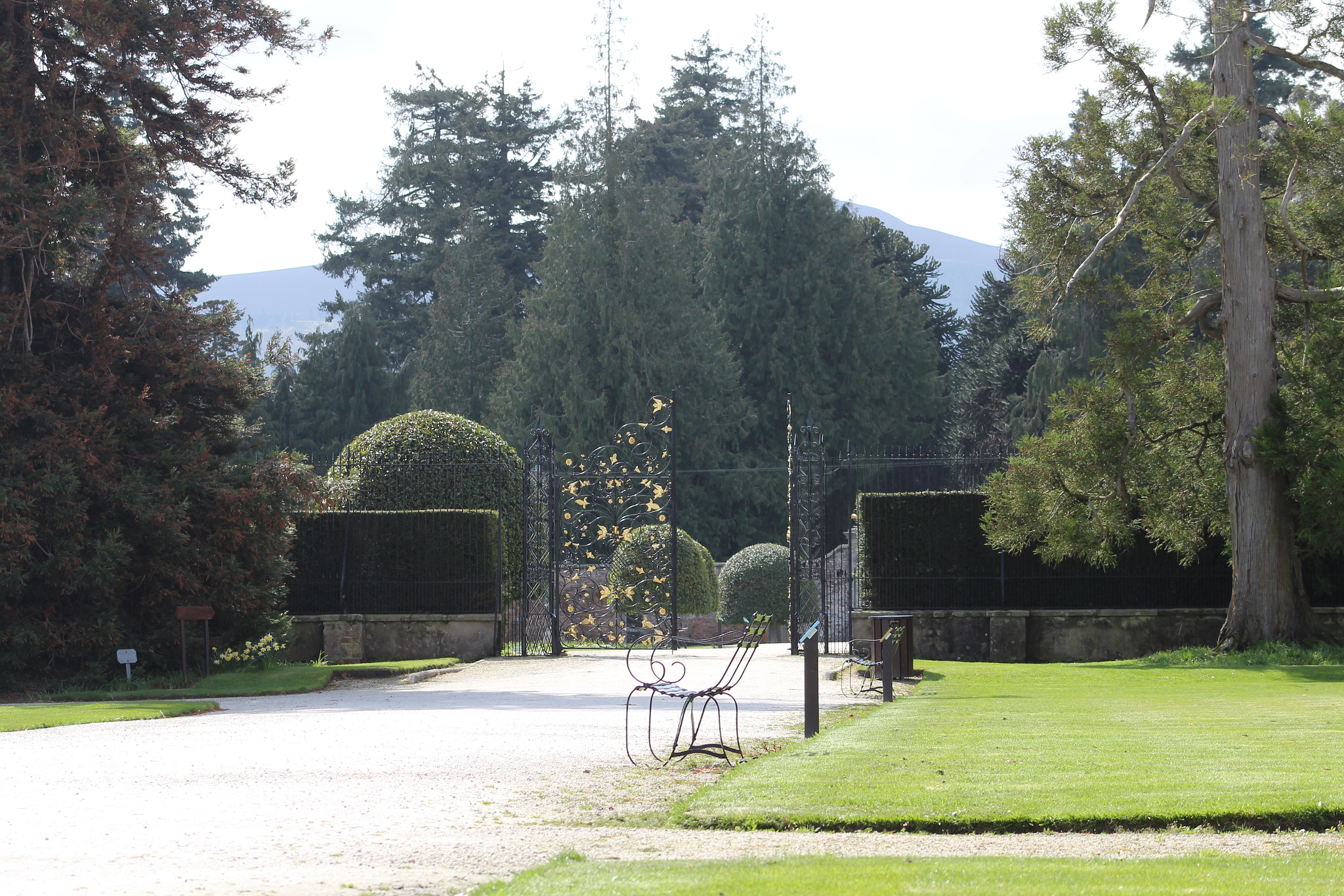 Canon EF 75-300mm f/4-5.6 sample photo. Img photography