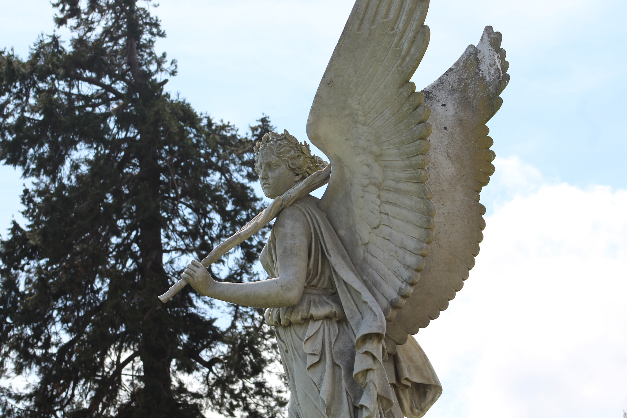 Canon EF 75-300mm f/4-5.6 sample photo. Img photography