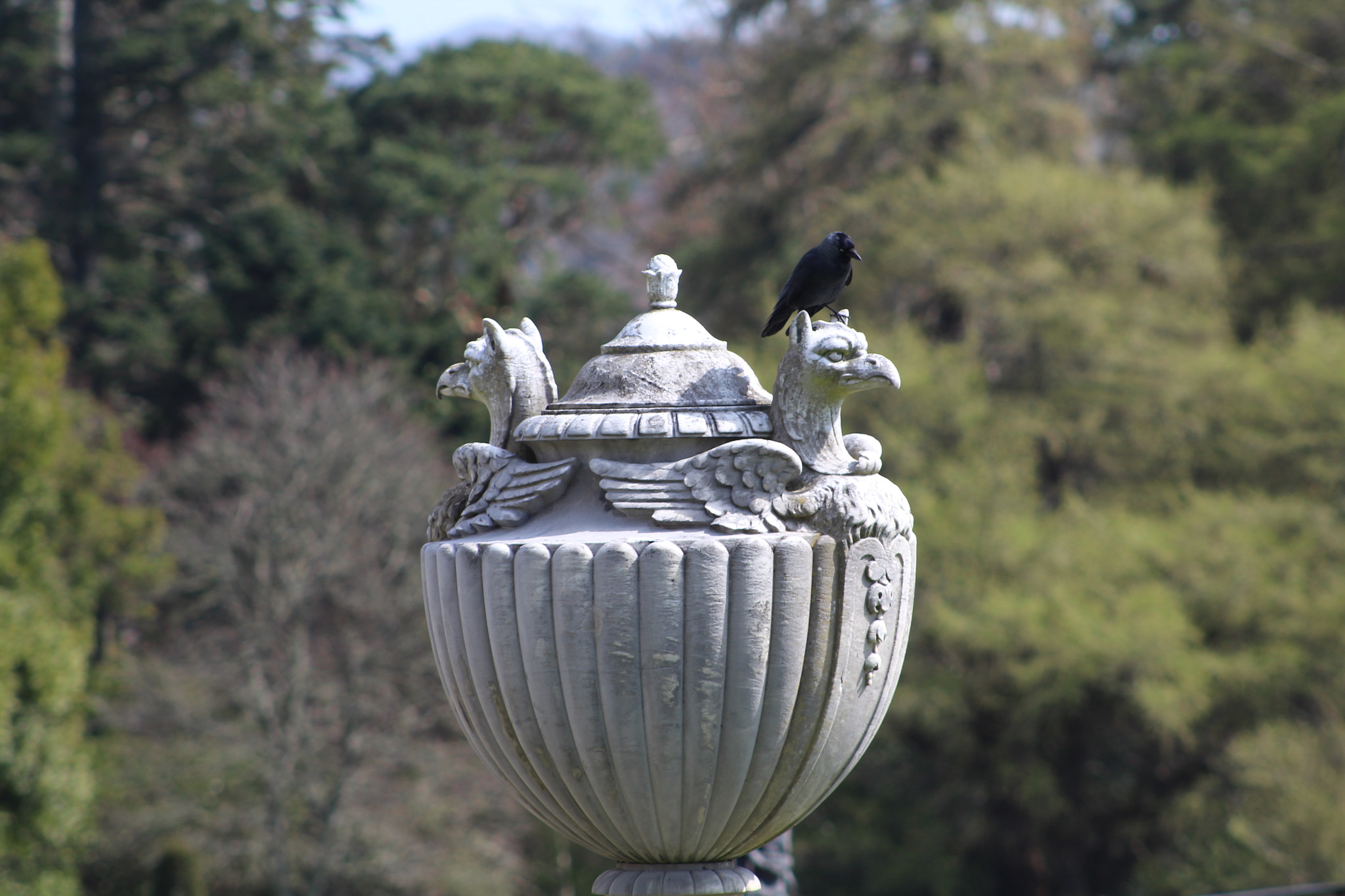 Canon EF 75-300mm f/4-5.6 sample photo. Img photography