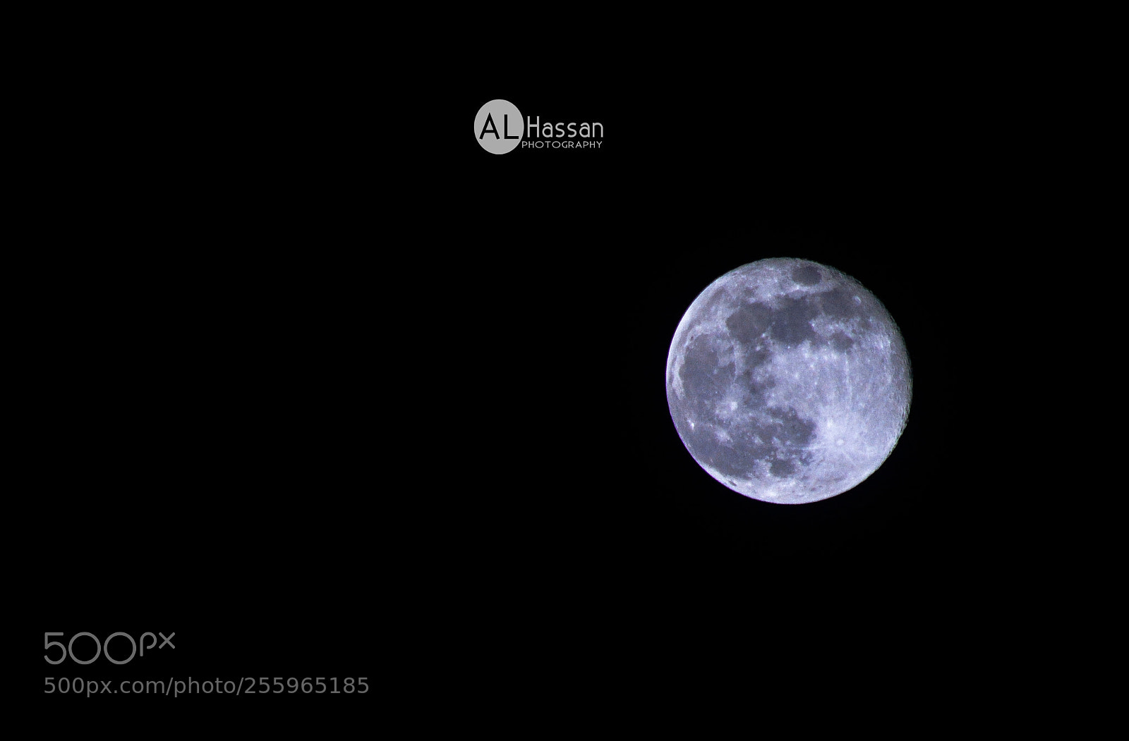 Nikon D7100 sample photo. Untitled photography