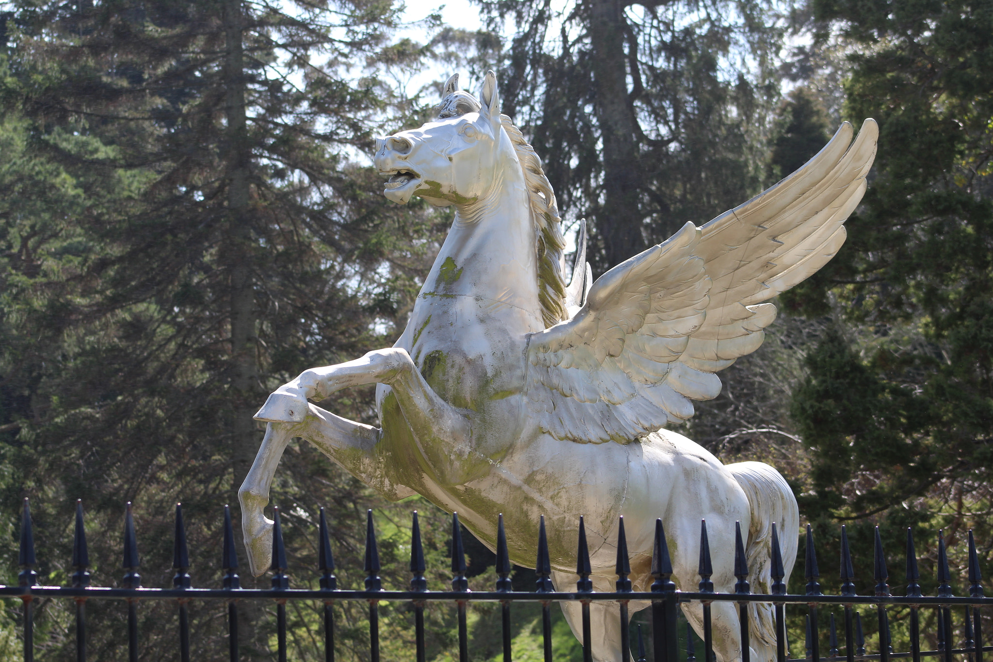 Canon EF 75-300mm f/4-5.6 sample photo. Img photography