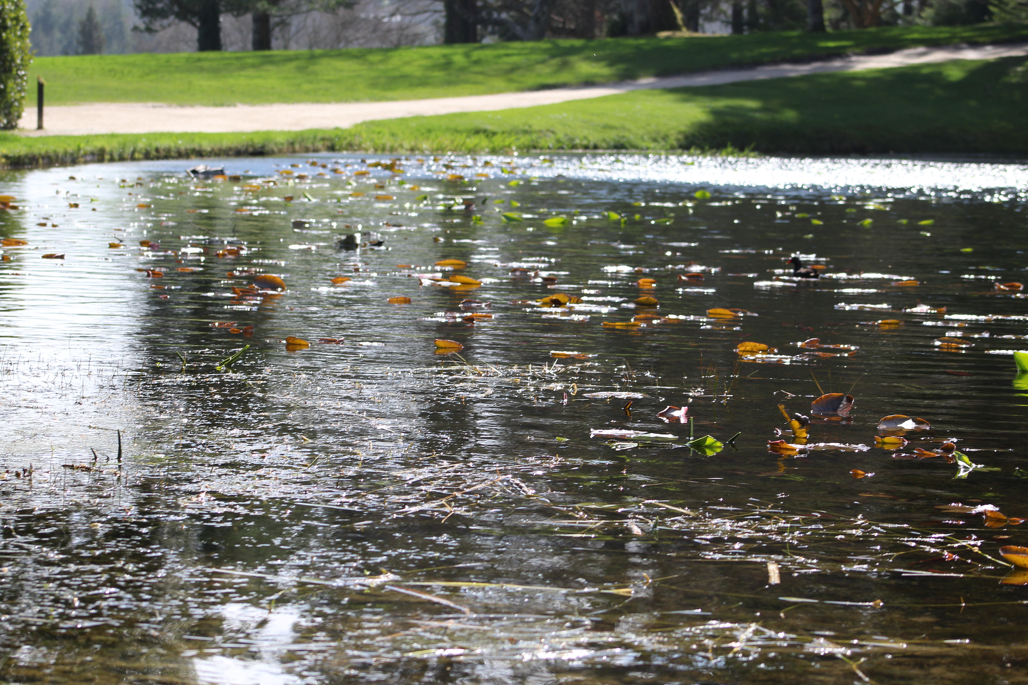 Canon EF 75-300mm f/4-5.6 sample photo. Img photography