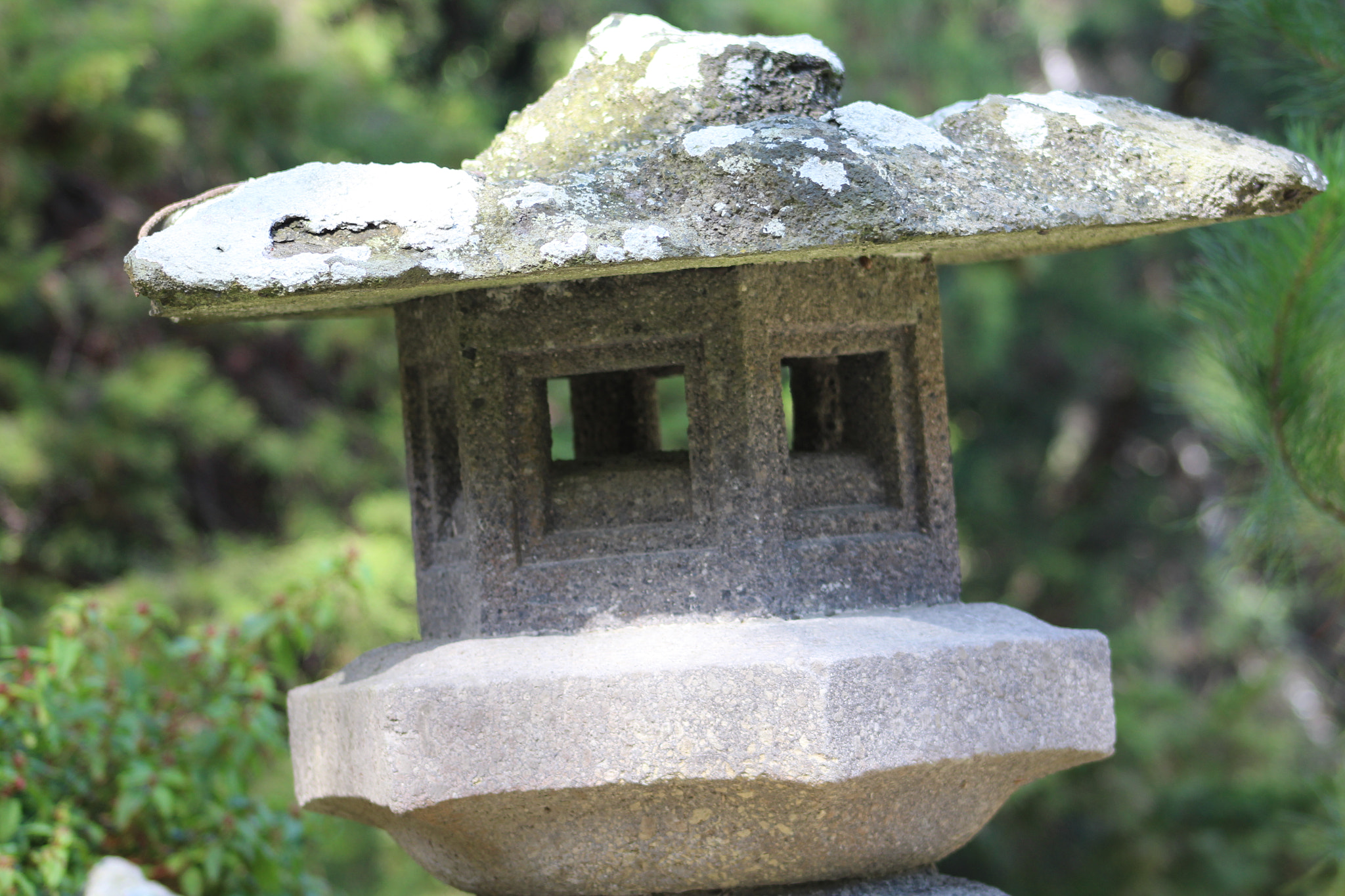 Canon EF 75-300mm f/4-5.6 sample photo. Img photography