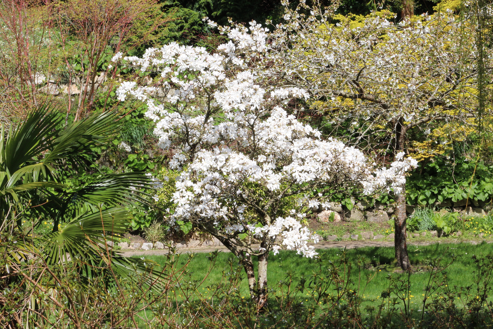 Canon EF 75-300mm f/4-5.6 sample photo. Img photography