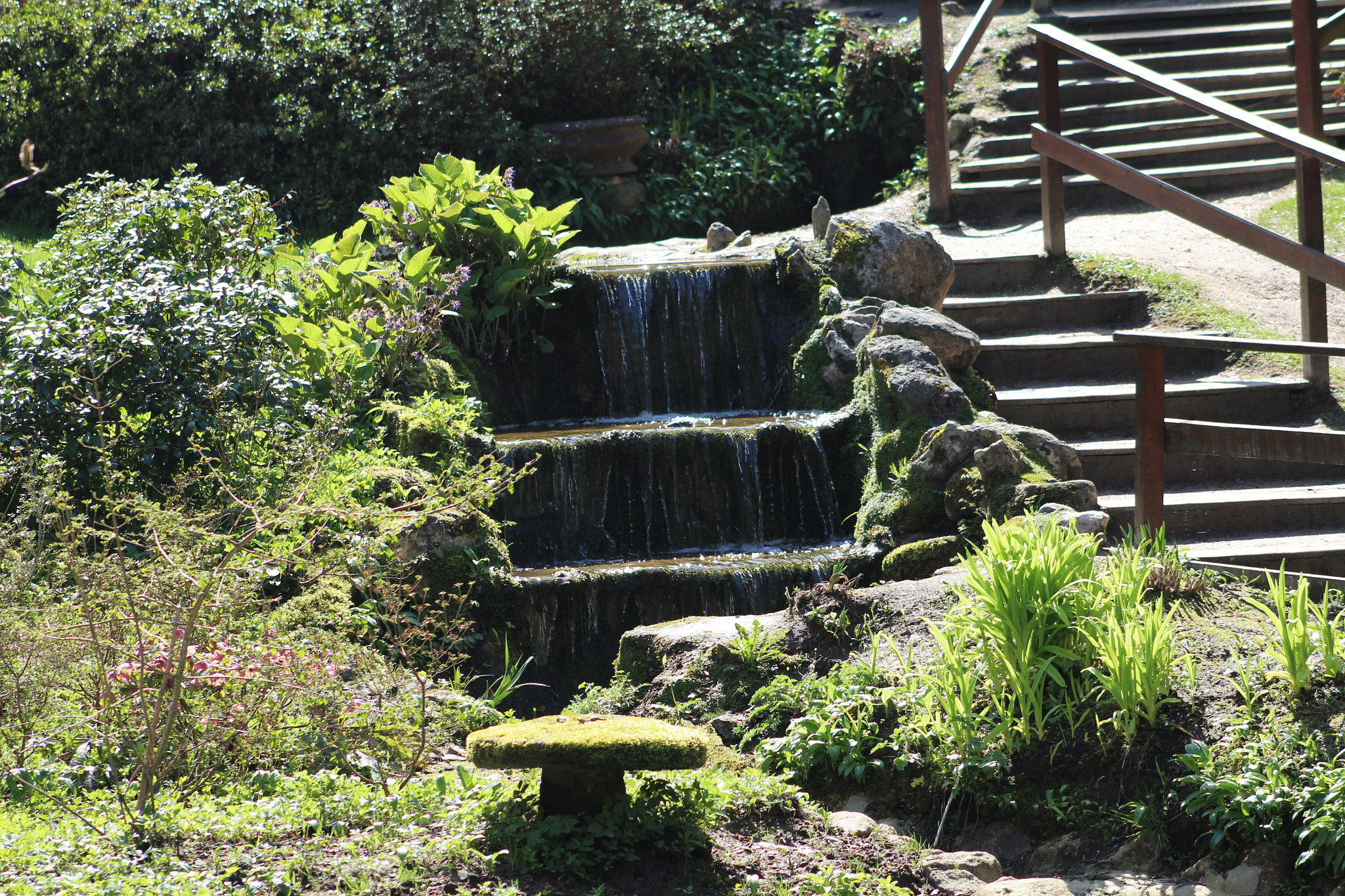 Canon EF 75-300mm f/4-5.6 sample photo. Img photography