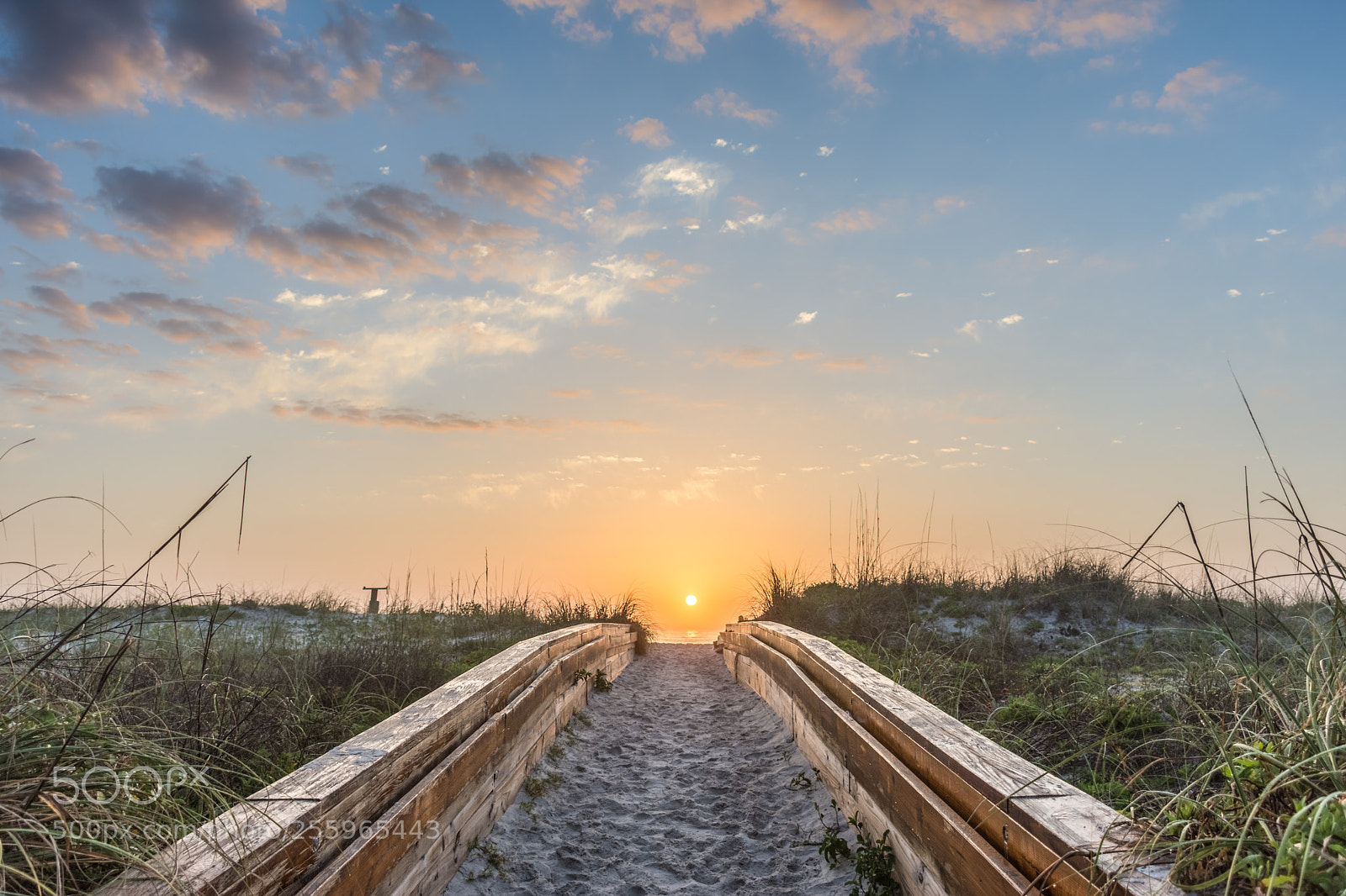 Nikon D7200 sample photo. Enter paradise on the photography