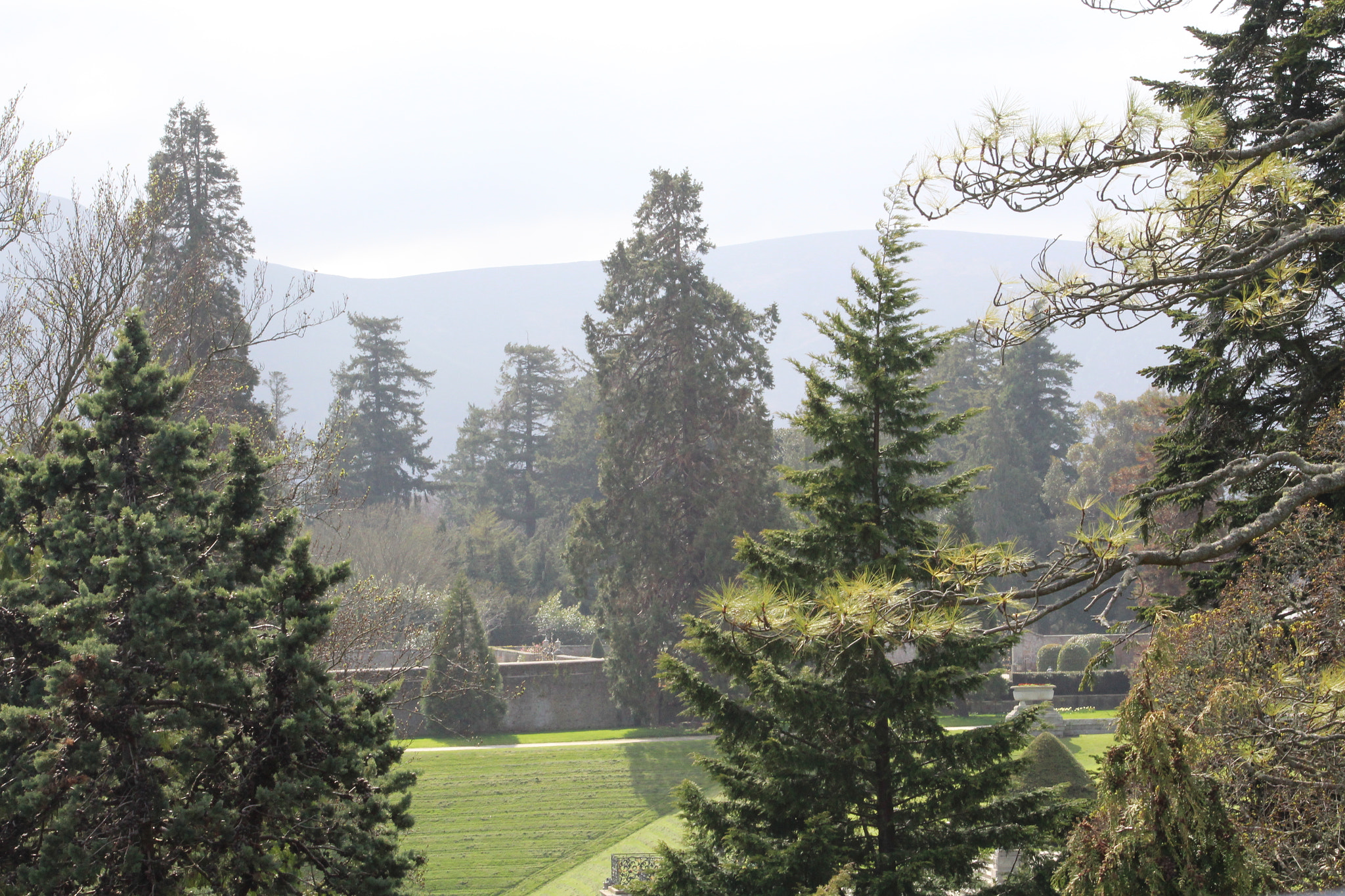 Canon EF 75-300mm f/4-5.6 sample photo. Img photography