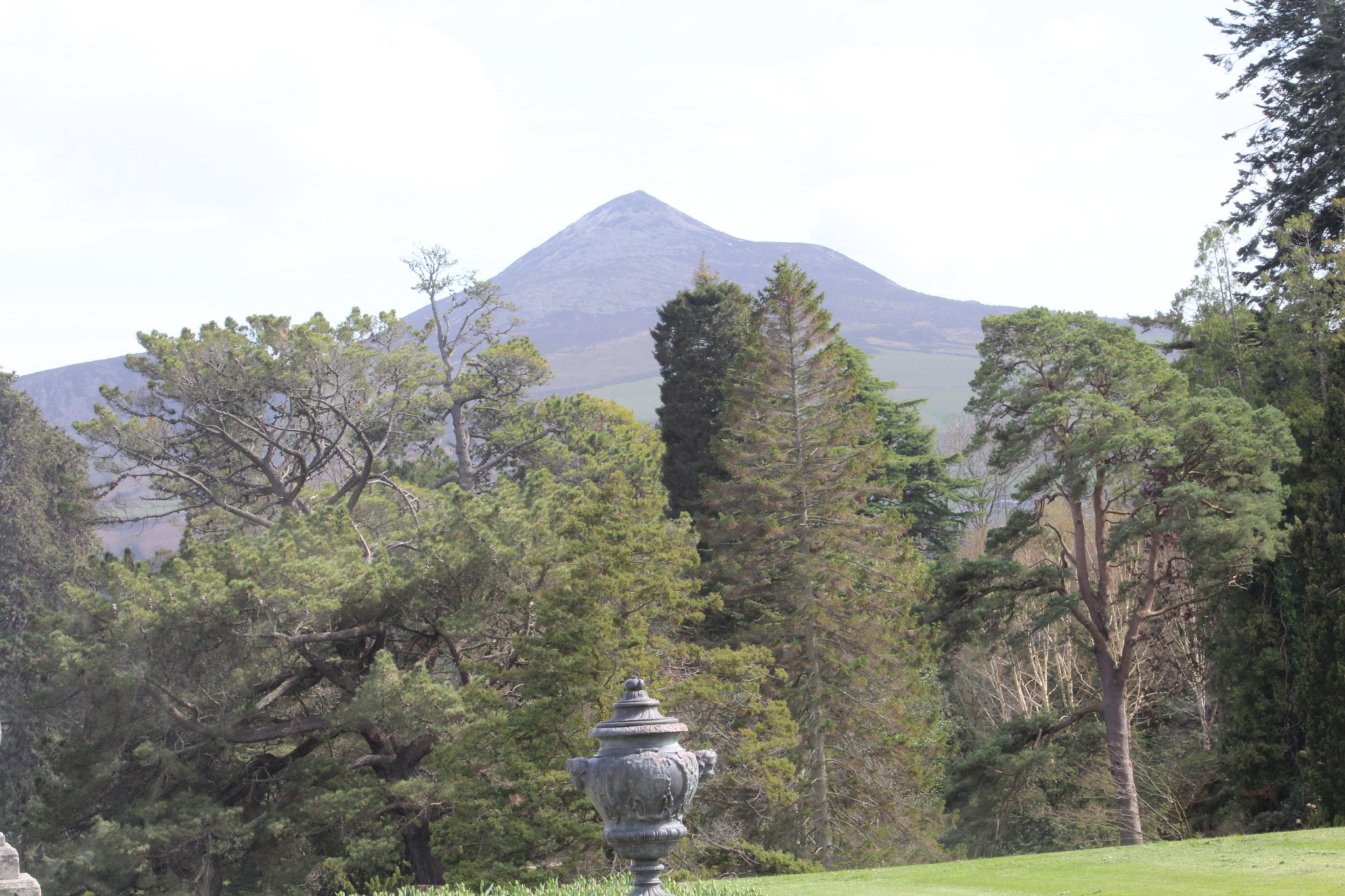 Canon EF 75-300mm f/4-5.6 sample photo. Img photography