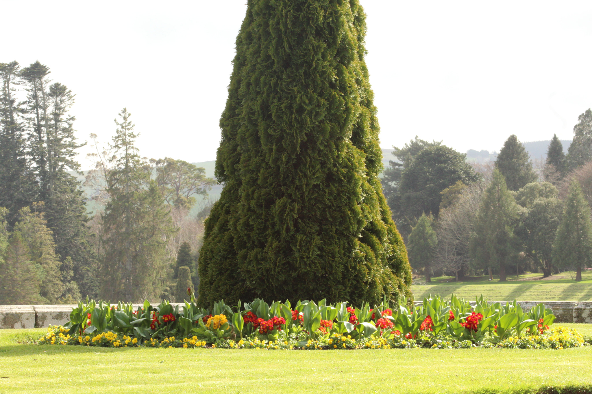 Canon EF 75-300mm f/4-5.6 sample photo. Img photography