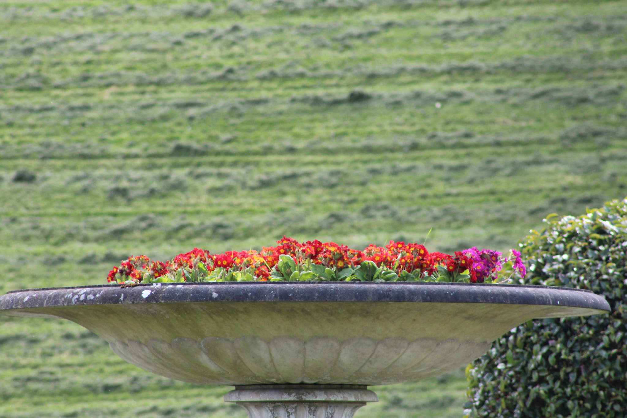 Canon EF 75-300mm f/4-5.6 sample photo. Img photography