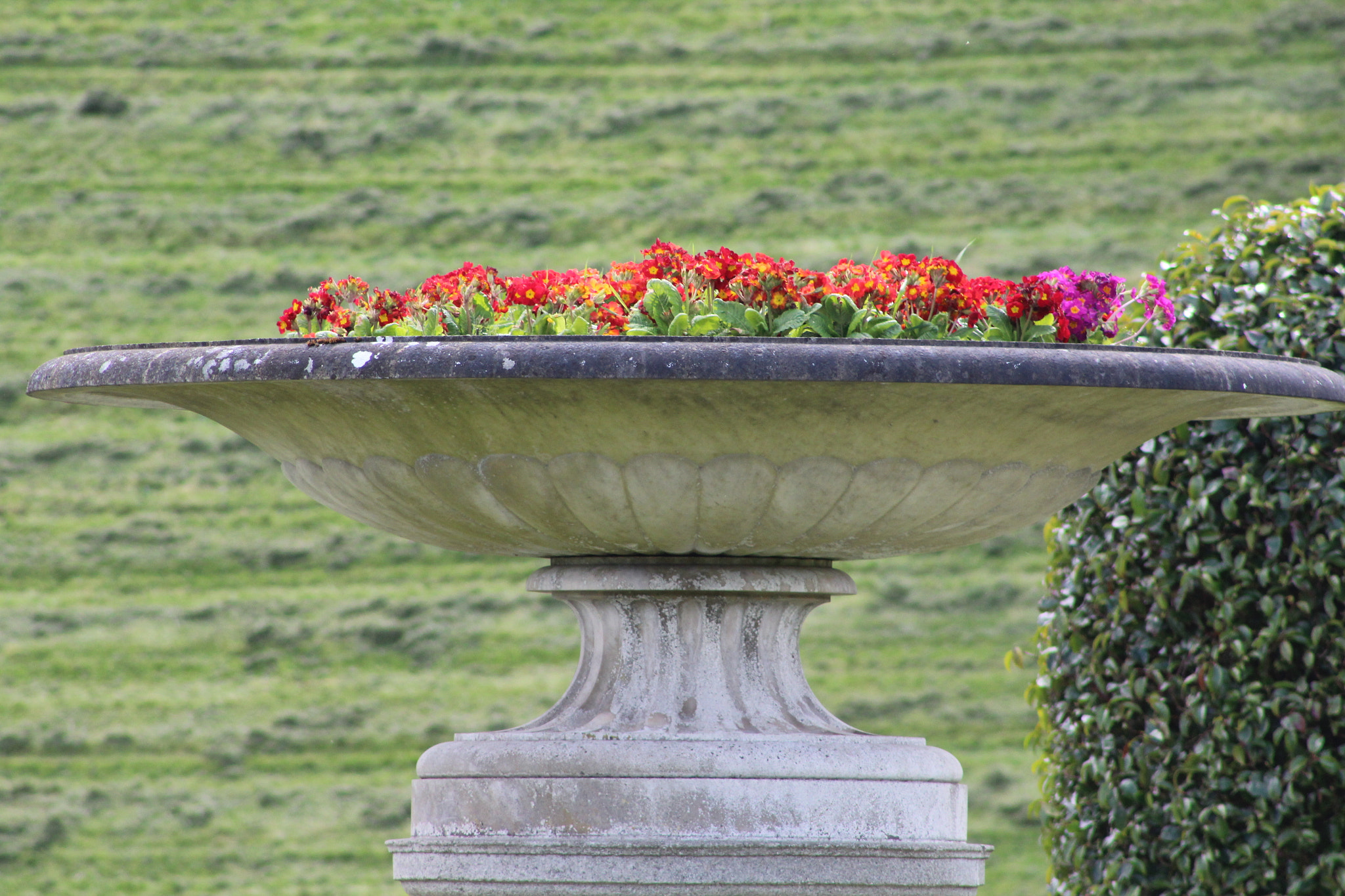 Canon EF 75-300mm f/4-5.6 sample photo. Img photography