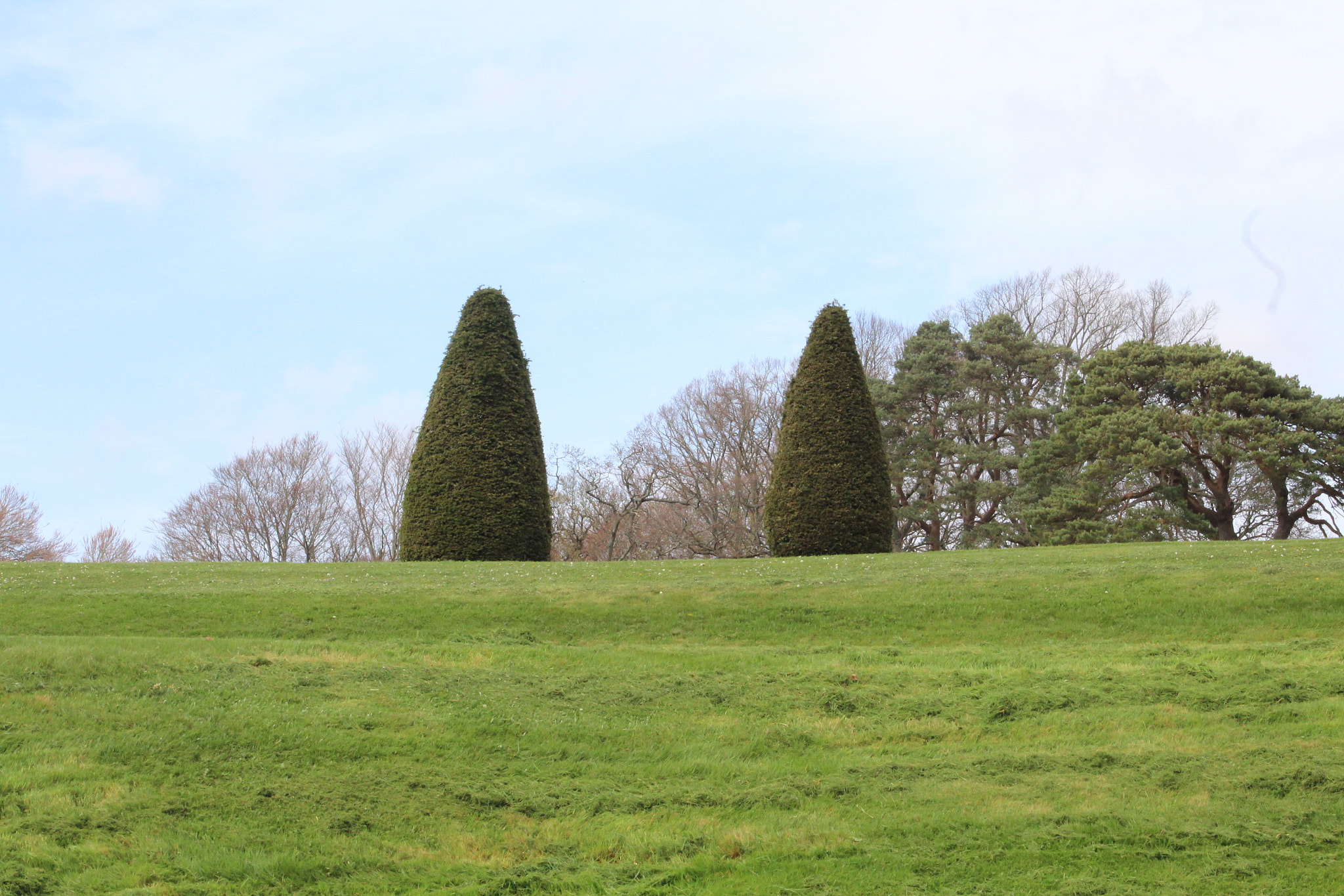 Canon EF 75-300mm f/4-5.6 sample photo. Img photography