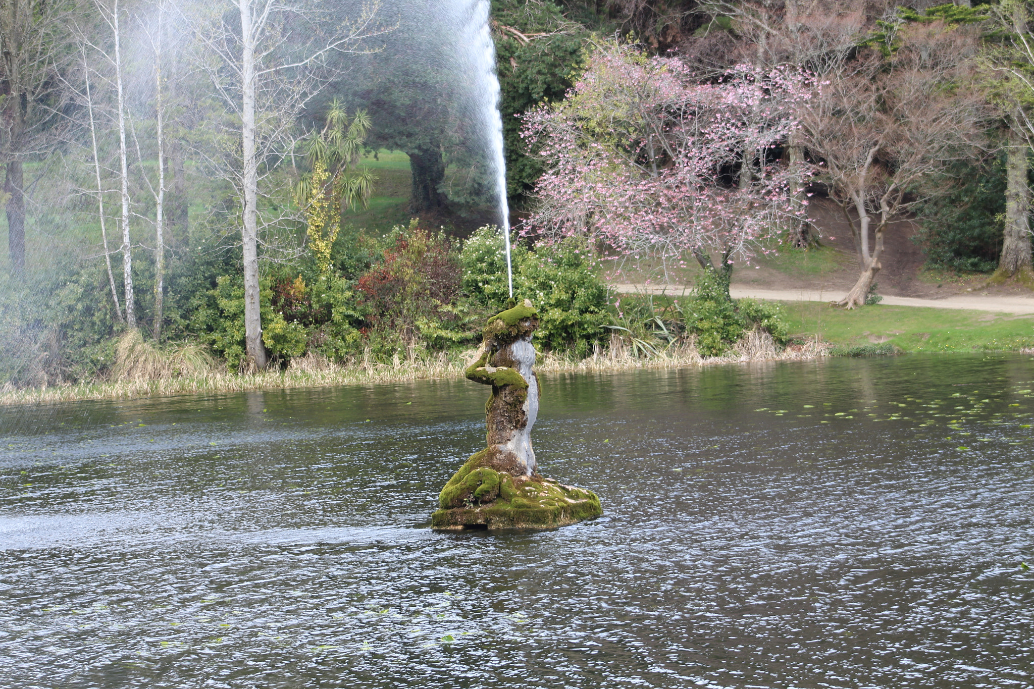 Canon EF 75-300mm f/4-5.6 sample photo. Img photography