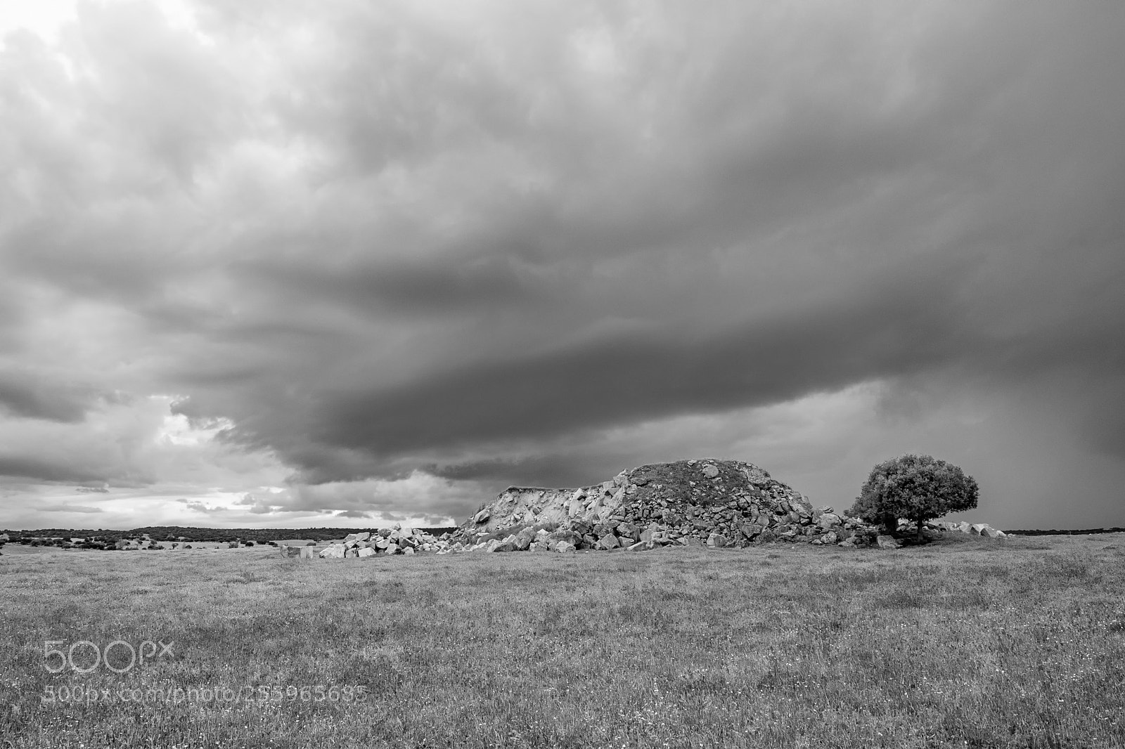Fujifilm X-T2 sample photo. Alentejo v photography