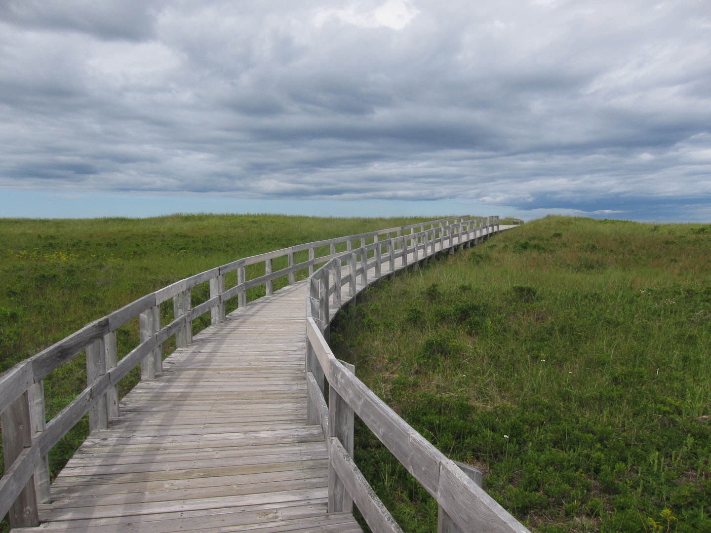 Canon PowerShot S95 sample photo. Path to the sky photography